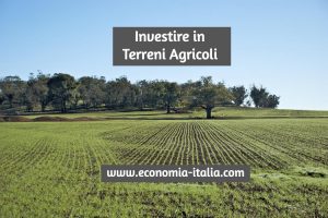 Investire in Terreni Agricoli Guida e Prospettive di Guadagni nel Mercato Fondiario
