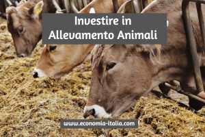 Investire in Allevamento di Animali: Come farlo e quali scegliere