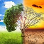 Migliori Azioni sul Cambiamento Climatico da Comprare ora