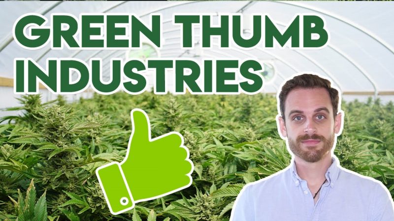 dove investire azioni di marijuana migliori di dogecoin dove investire azioni di marijuana migliori di dogecoin