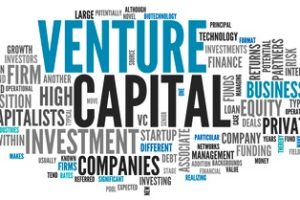 Venture Capital VC cos'è e come funziona il Capitale di Rischio