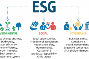 Obbligazioni Sostenibili ESG: cosa sono, conviene investire?